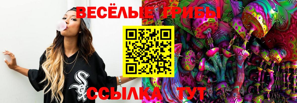 Галлюциногенные грибы мицелий Асино